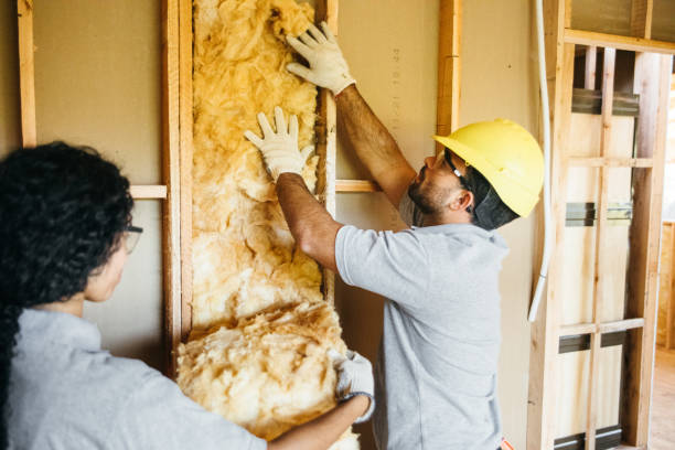 Best Blown-In Insulation  in Loudonville, NY