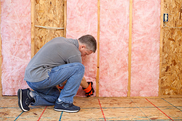 Best Attic Insulation Installation  in Loudonville, NY