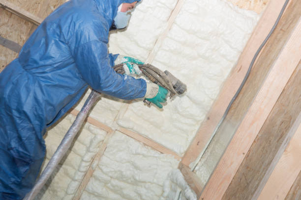 Professional Insulation in Loudonville, NY